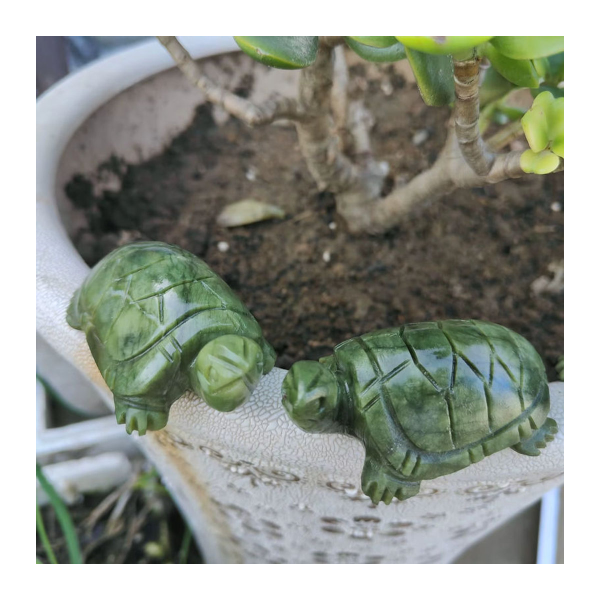 TAIHESJ Xiuyan Jade Schildkröte aus grünem Naturstein als Feng Shui Ornament zur Dekoration - Bild 2