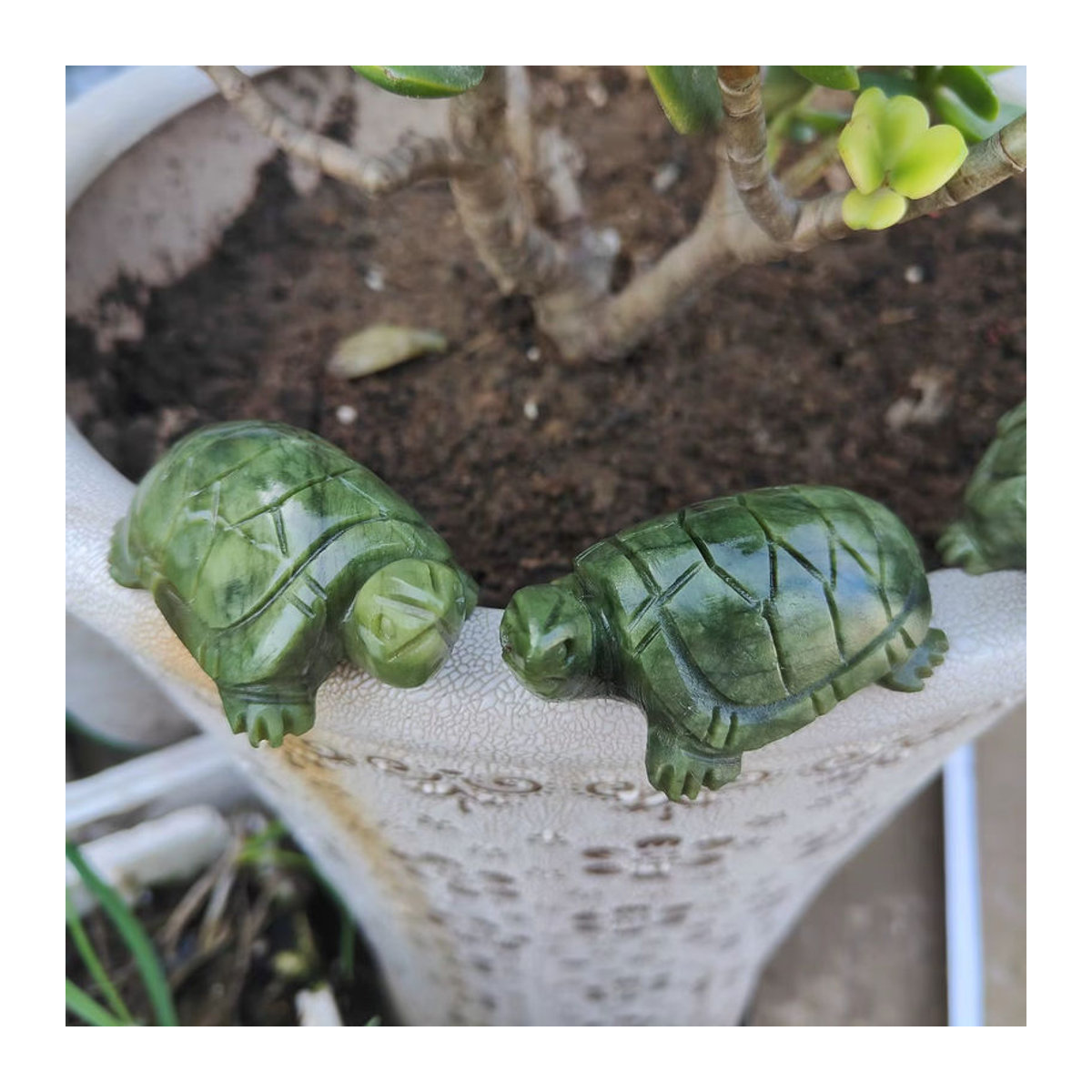 TAIHESJ Xiuyan Jade Schildkröte aus grünem Naturstein als Feng Shui Ornament zur Dekoration - Bild 3