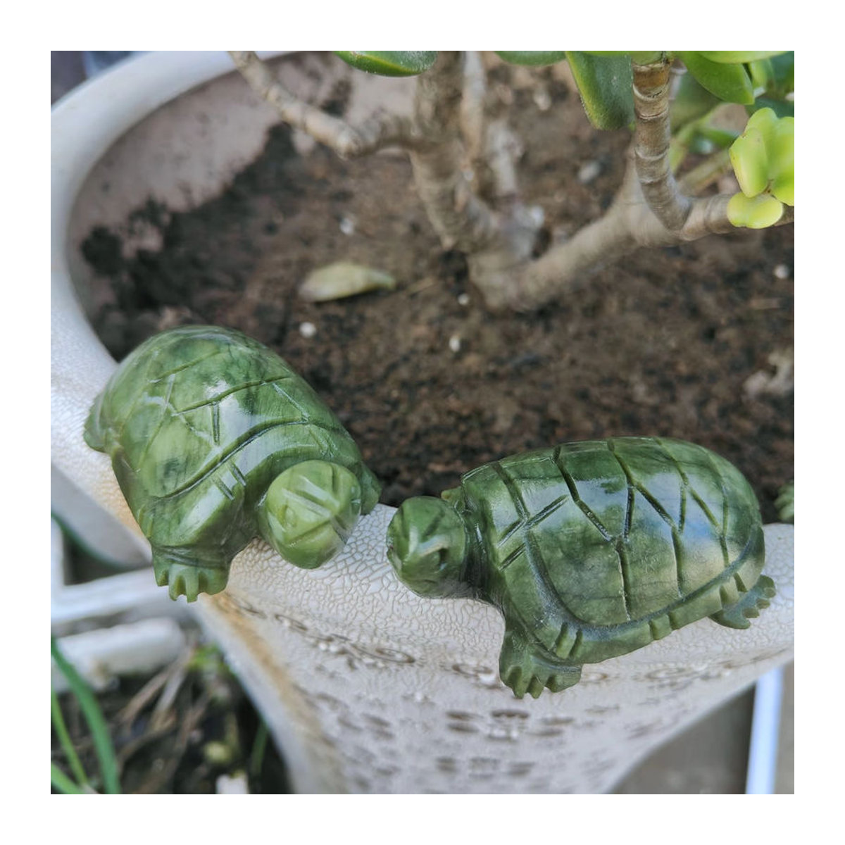 TAIHESJ Xiuyan Jade Schildkröte aus grünem Naturstein als Feng Shui Ornament zur Dekoration - Bild 5
