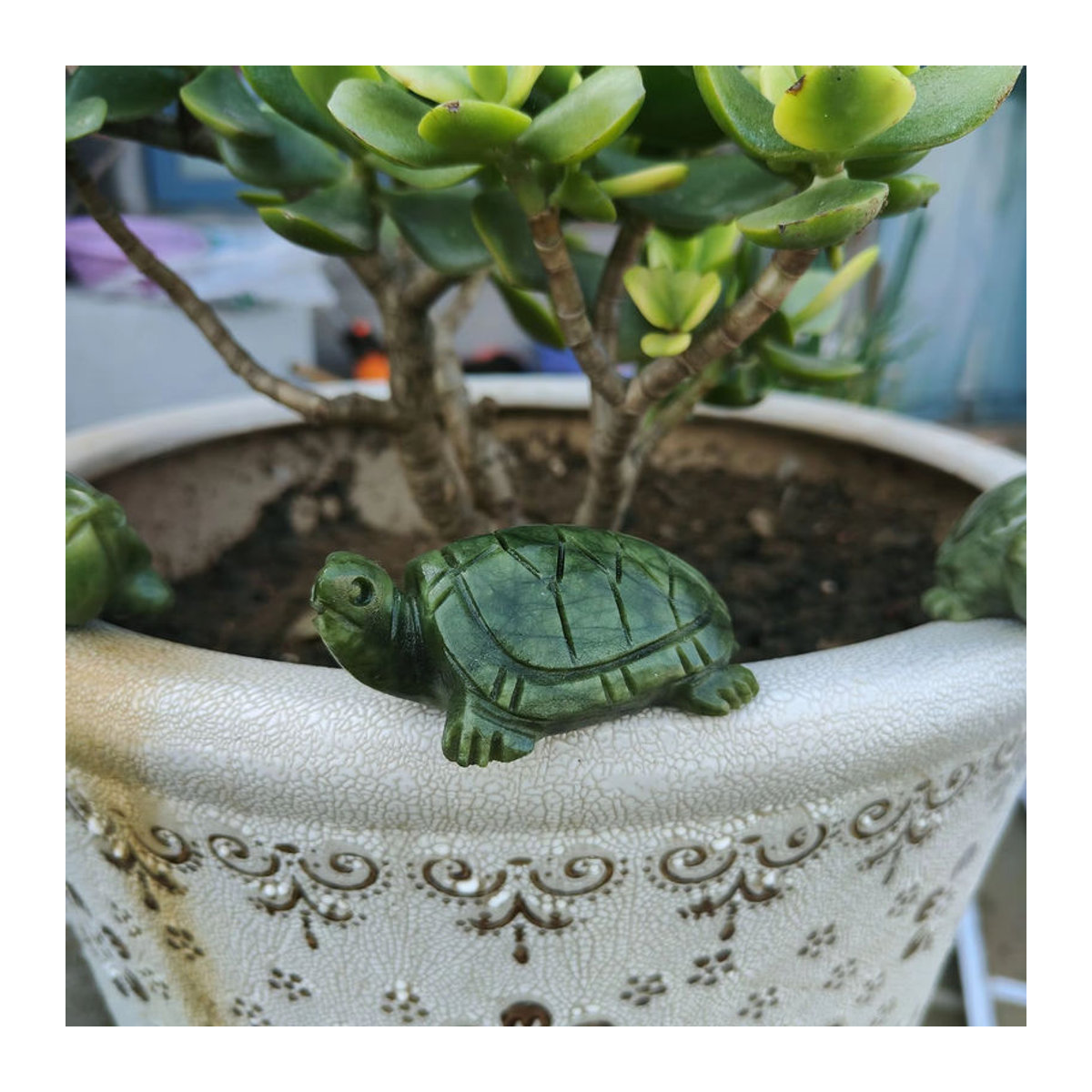 TAIHESJ Xiuyan Jade Schildkröte aus grünem Naturstein als Feng Shui Ornament zur Dekoration - Bild 6