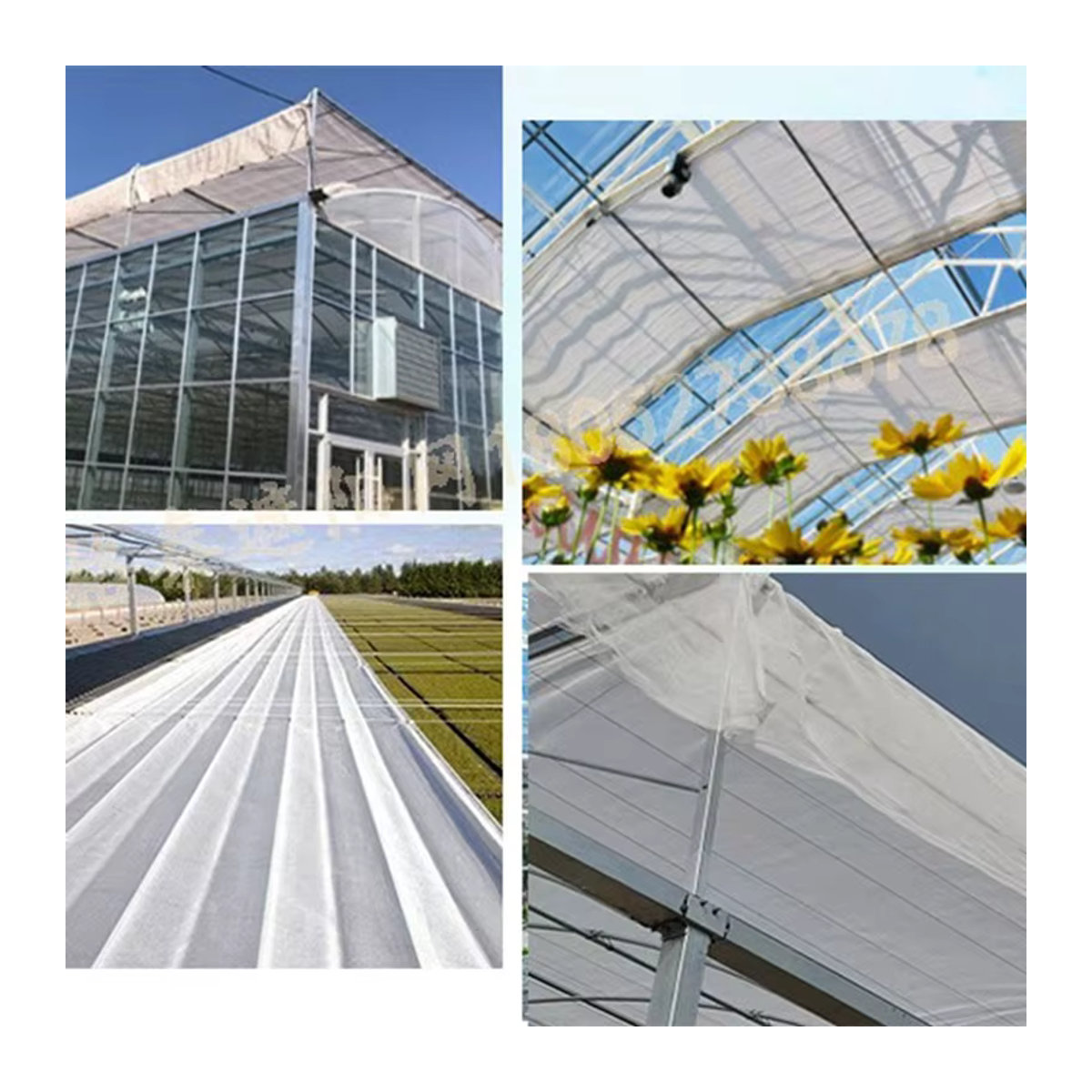 Tewango Mono-HDPE Sonnenschutznetz mit 50 % Schattierung und Anti-UV-Schutz für Landwirtschaft und Gewächshäuser - Bild 3