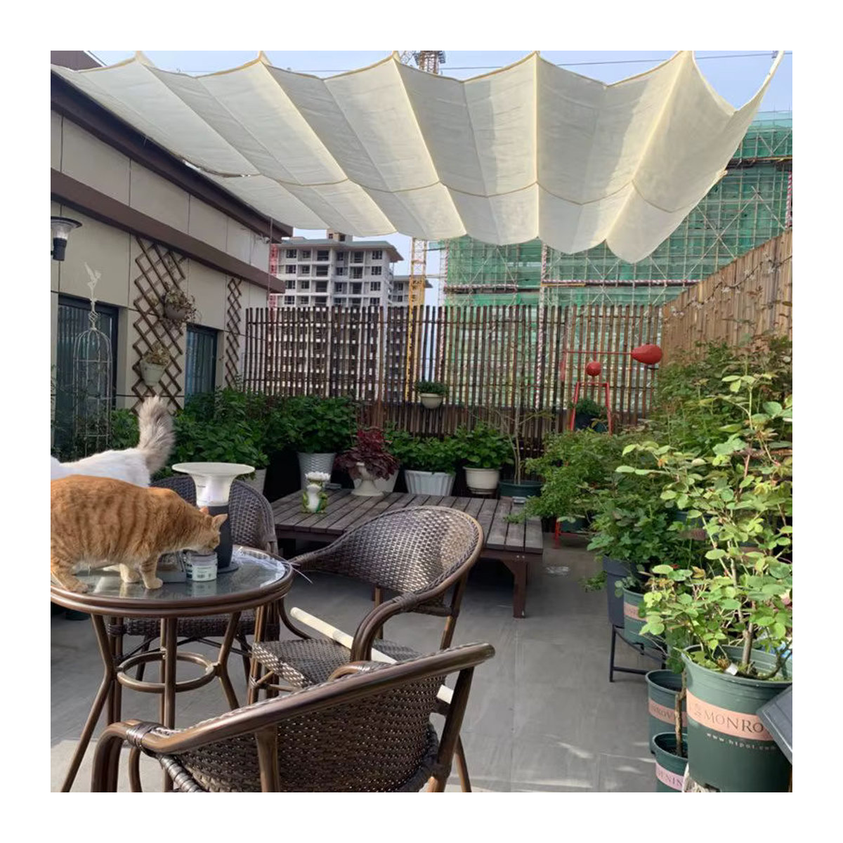 Tewango Sonnensegel aus verdicktem Anti-UV-HDPE-Stoff als einziehbare Wellen-Pergola für Terrasse und Balkon, Beige oder Anthrazit, B: 300 cm, H: 90 cm - Bild 4