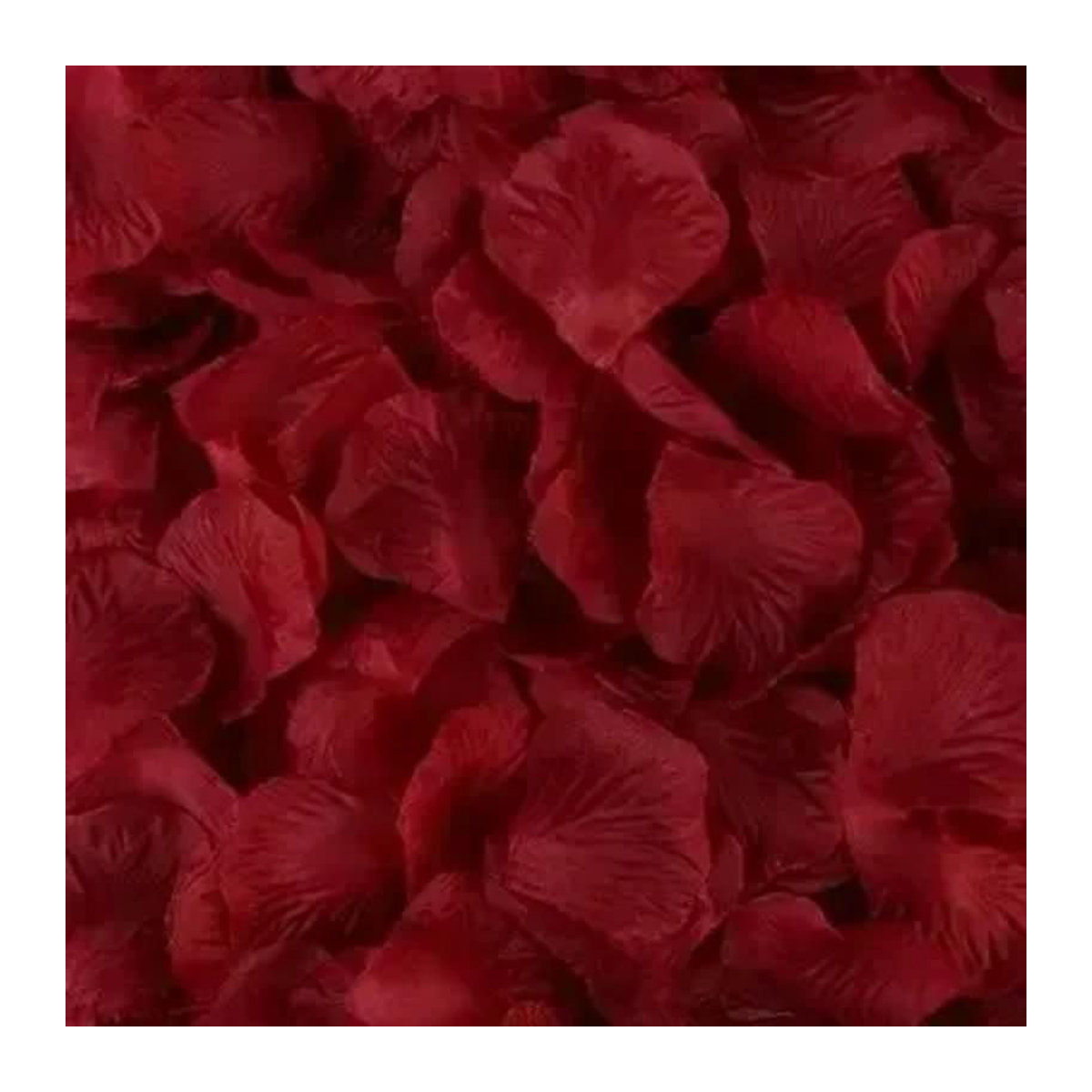 The Red Sun Künstliche Rosenblätter für Hochzeiten in Rot, Rosa und Weiß, 1000 Stück (10 Beutel) - Bild 2