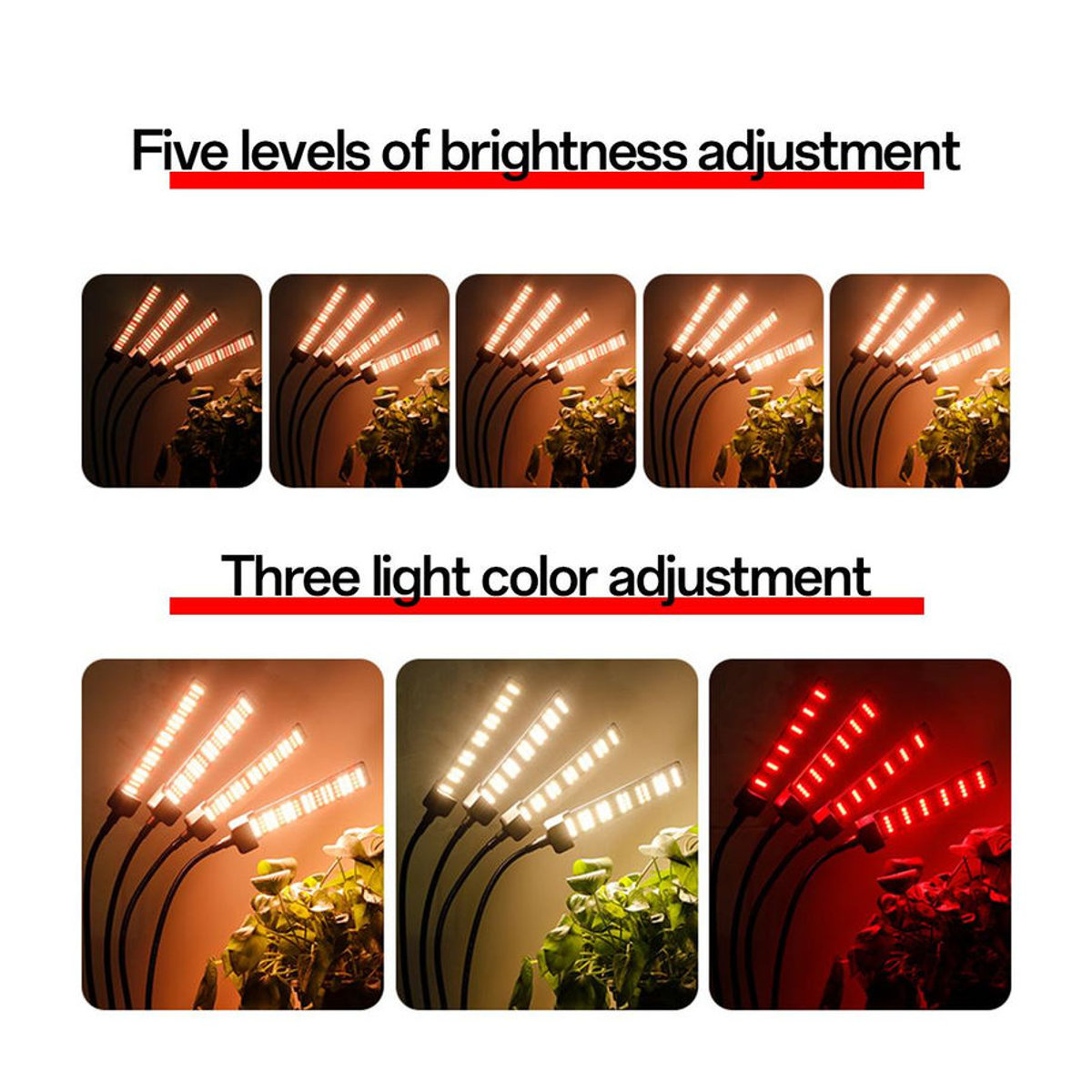 Tomshine LED Pflanzenwachstumslampe mit 4 Köpfen, Vollspektrum-Wachstumslicht für Zimmerpflanzen, 3 Lichtmodi, 5 Helligkeitsstufen und 3 Zeitmodi, US-Stecker - Bild 2