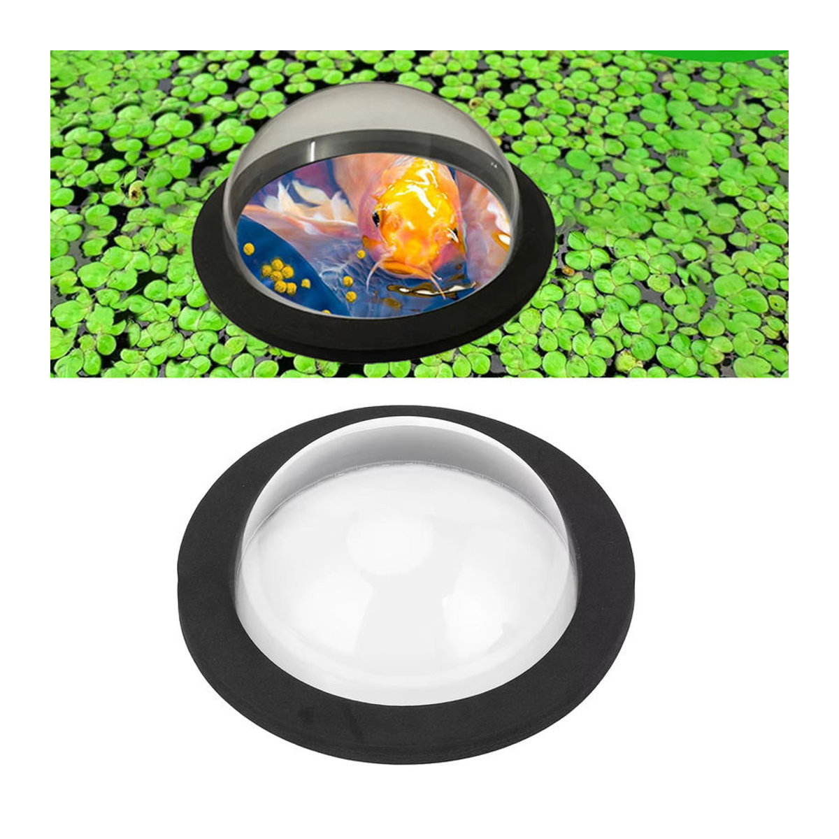 Transparente Fischteich-Schwimmkuppel in Schwarz als wasserdichte, runde Teichkuppelabdeckung für deinen Garten oder Hof - Bild 3