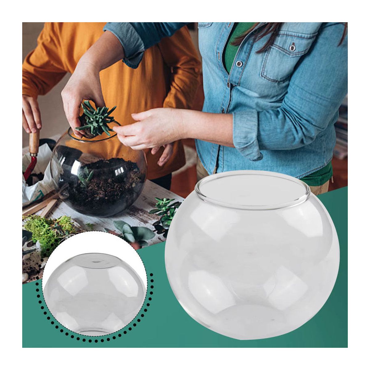 Transparente Glasvase für Sukkulenten und Terrarien, runde Dekovase für Desktop und Pflanzen, Durchmesser: 8 cm, 10 cm oder 12 cm - Bild 2