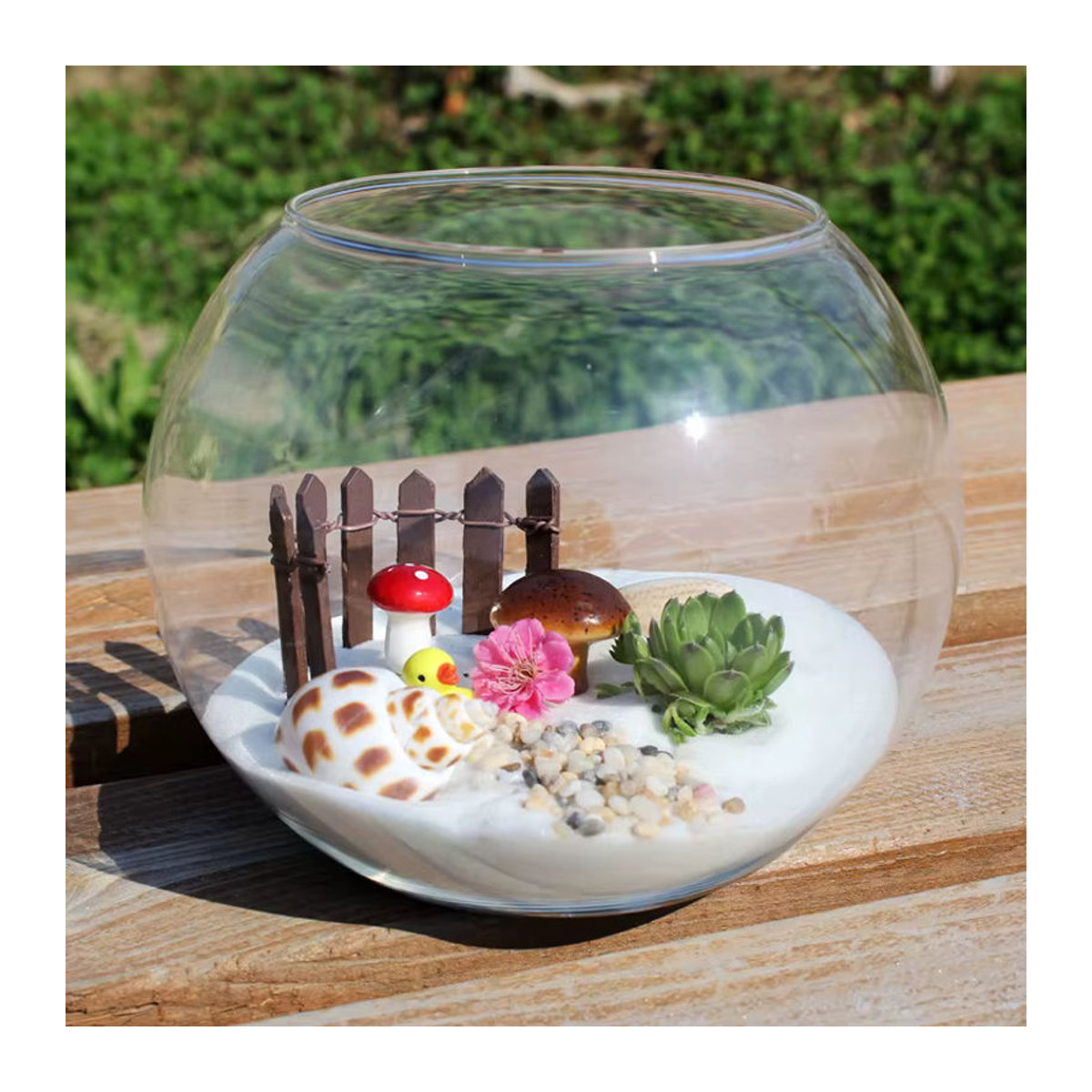 Transparente Glasvase für Sukkulenten und Terrarien, runde Dekovase für Desktop und Pflanzen, Durchmesser: 8 cm, 10 cm oder 12 cm - Bild 4