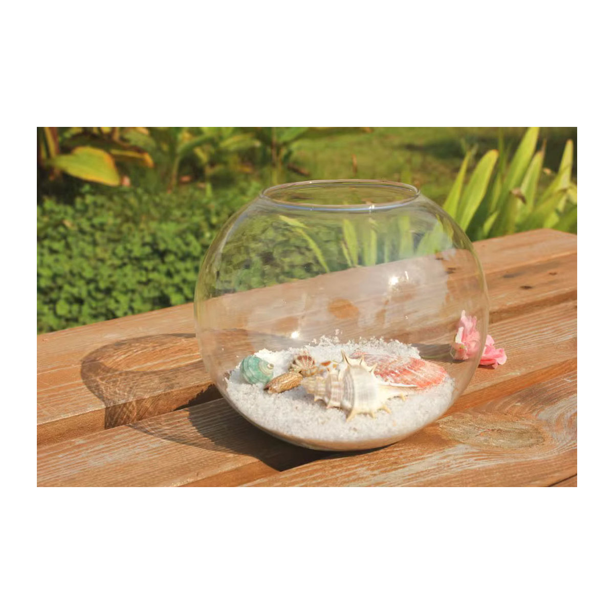 Transparente Glasvase für Sukkulenten und Terrarien, runde Dekovase für Desktop und Pflanzen, Durchmesser: 8 cm, 10 cm oder 12 cm - Bild 5