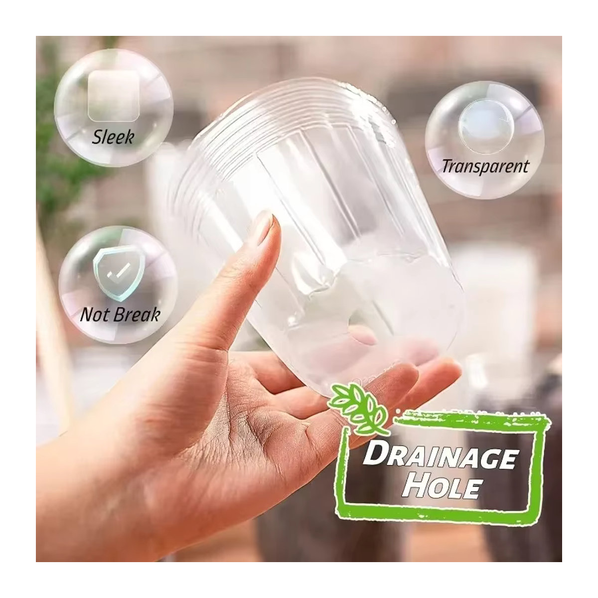 Transparente Sämlingstöpfe für die Gartenarbeit und Pflanzenanzucht - Bild 4