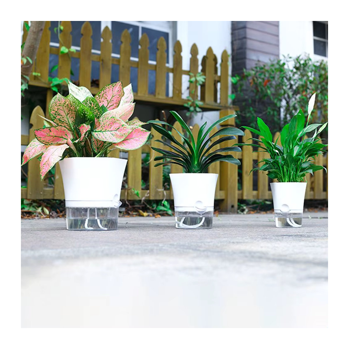 Transparenter Doppelwandiger Plastik Blumentopf mit Selbstbewässerungssystem und Baumwollseil - Bild 2