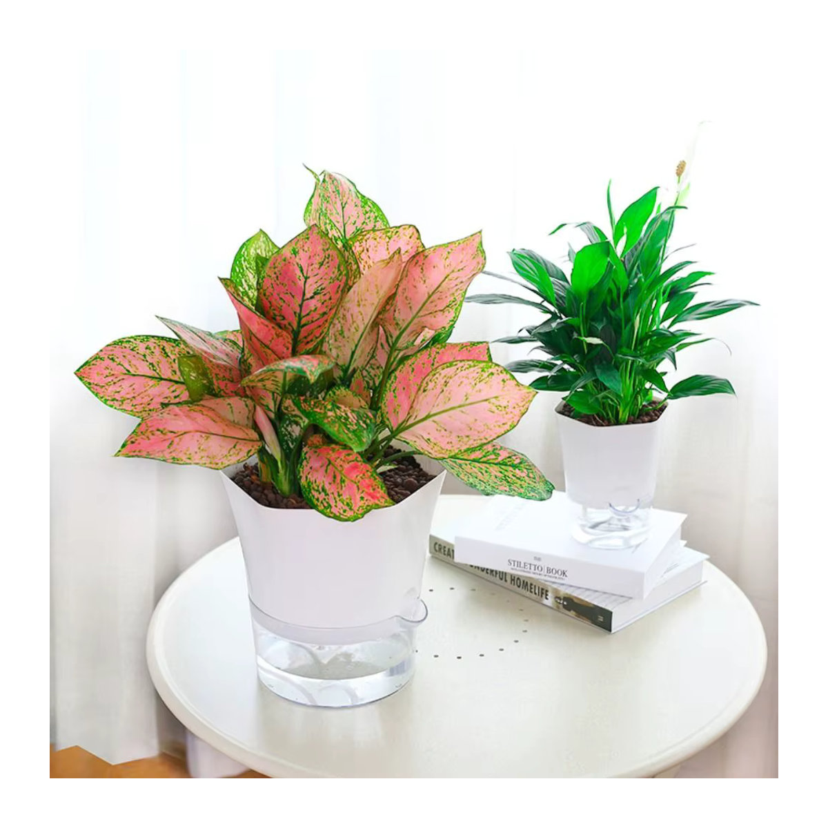 Transparenter Doppelwandiger Plastik Blumentopf mit Selbstbewässerungssystem und Baumwollseil - Bild 5