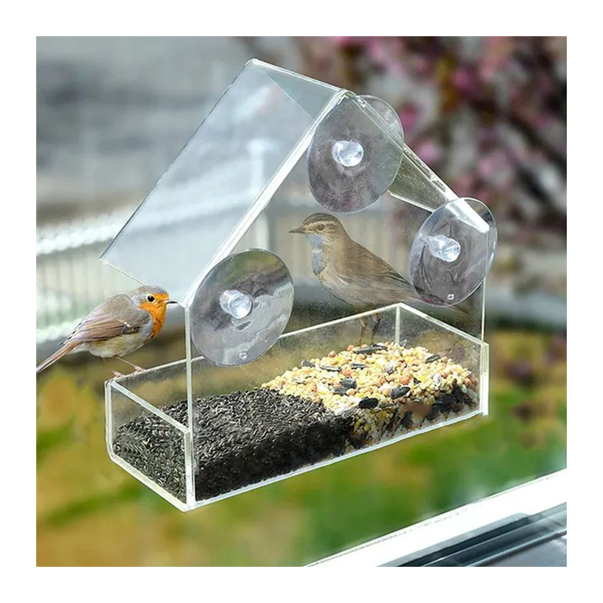 Transparenter Fenster-Vogelfutterspender aus Acryl mit starken Saugnäpfen und abnehmbarer Samenablage für deinen Garten - Bild 1
