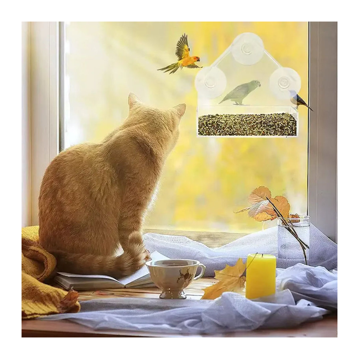 Transparenter Fenster-Vogelfutterspender aus Acryl mit starken Saugnäpfen und abnehmbarer Samenablage für deinen Garten - Bild 4