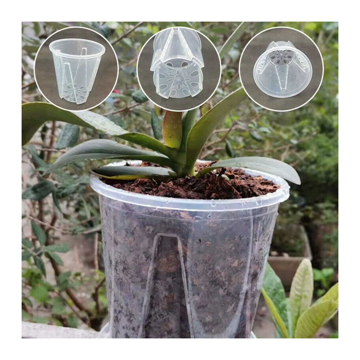 Transparenter Kunststoff-Pflanzenbehälter mit Belüftungslöchern für Orchideen und Sukkulenten - Bild 3