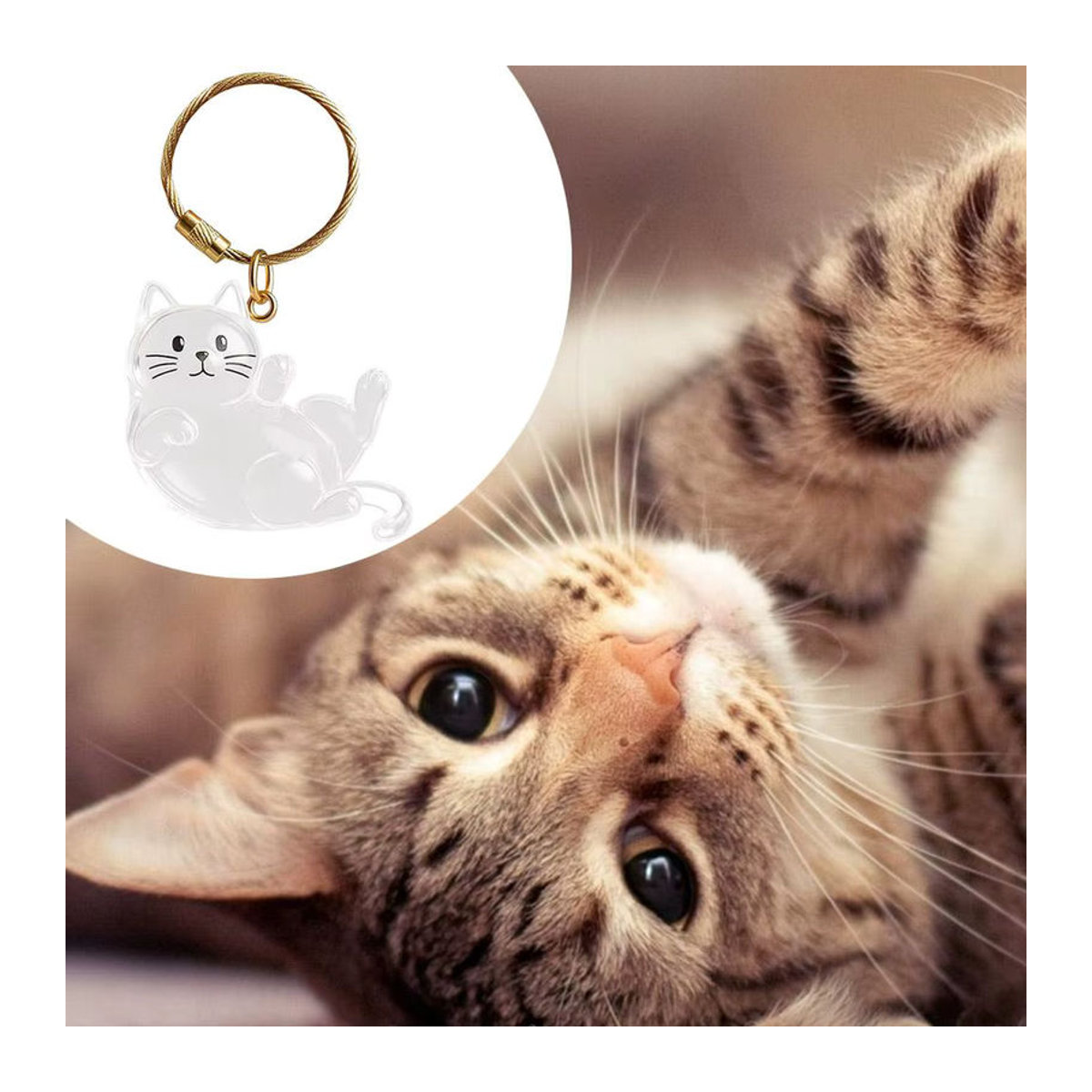 Transparenter Tierhaar-Aufbewahrungsanhänger aus Kunststoff als DIY-Erinnerungsgeschenk für Katzenfell und Andenken - Bild 2
