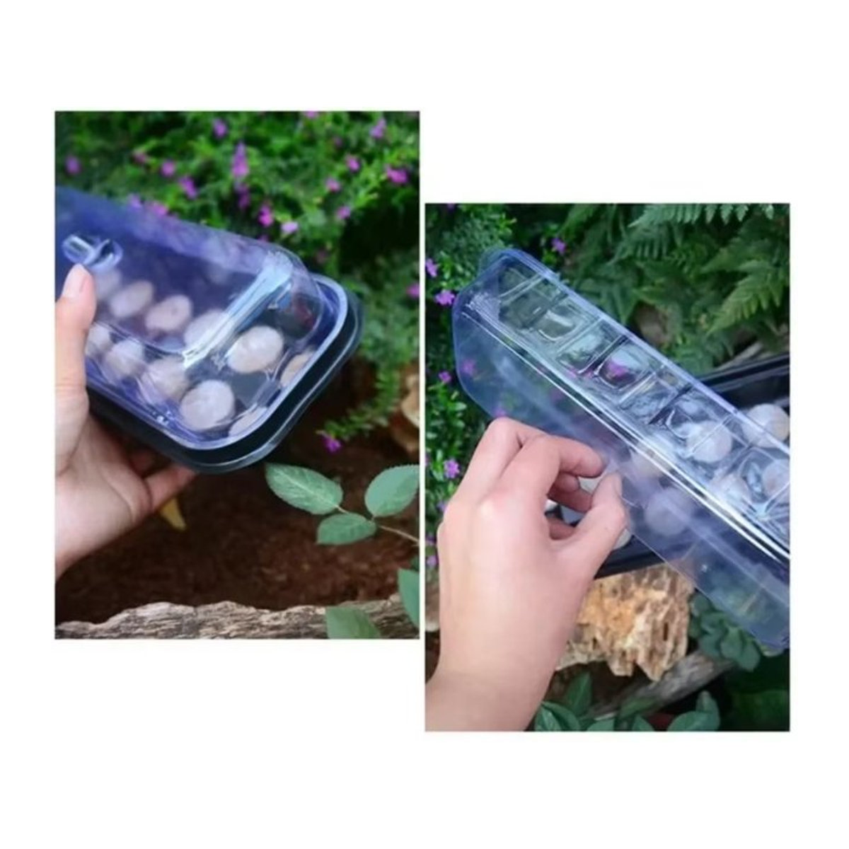 Transparentes Drei-in-eins Aussaat- und Setzlingstablett mit 12 Nährstoff-Bodenblöcken für den Gartenbau - Bild 1