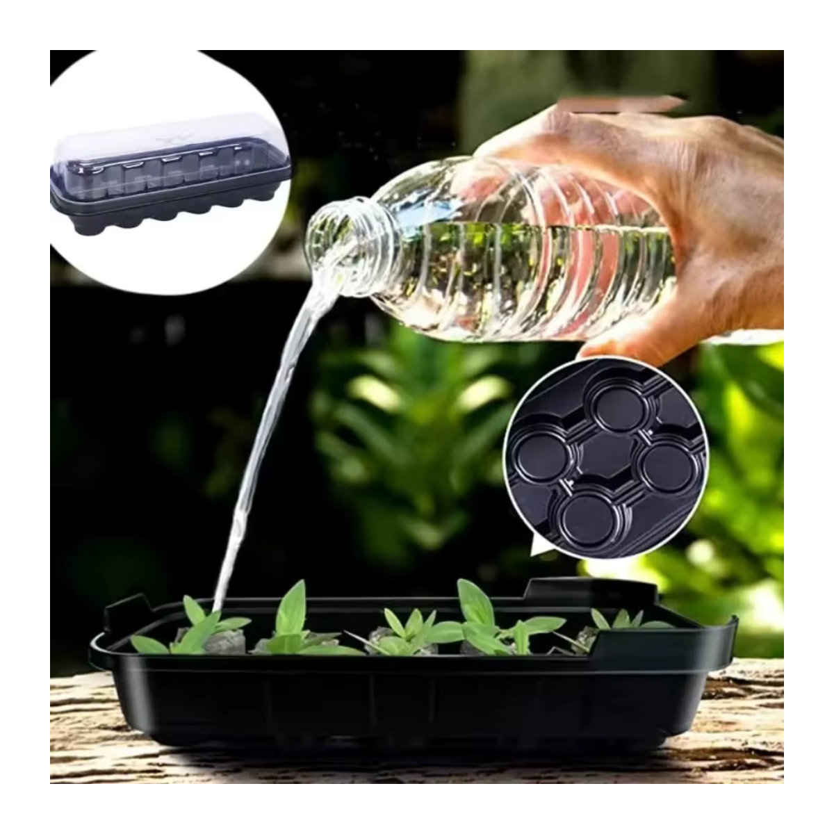 Transparentes Drei-in-eins Aussaat- und Setzlingstablett mit 12 Nährstoff-Bodenblöcken für den Gartenbau - Bild 2