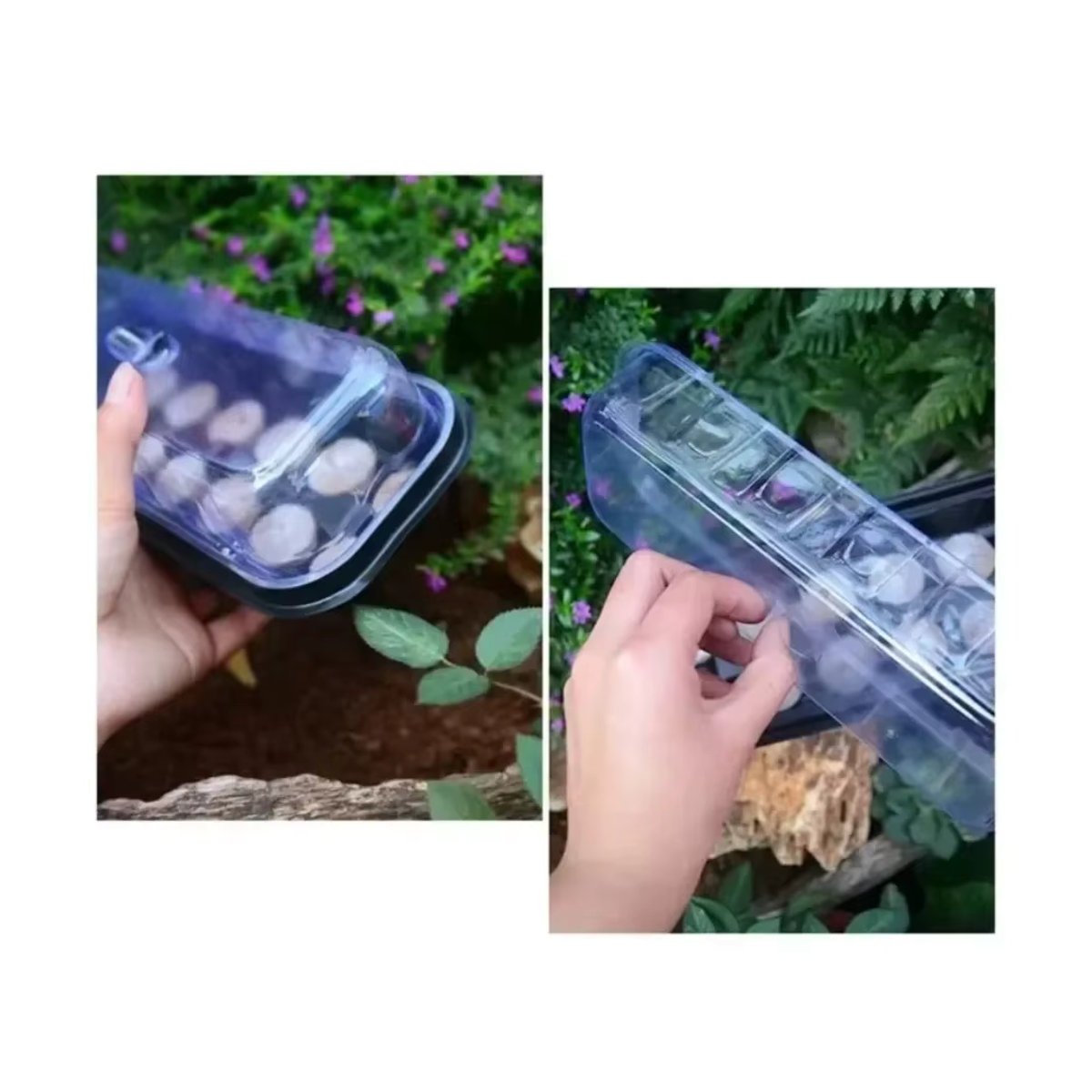 Transparentes Drei-in-eins Aussaat- und Setzlingstablett mit 12 Nährstoff-Bodenblöcken für den Gartenbau - Bild 7