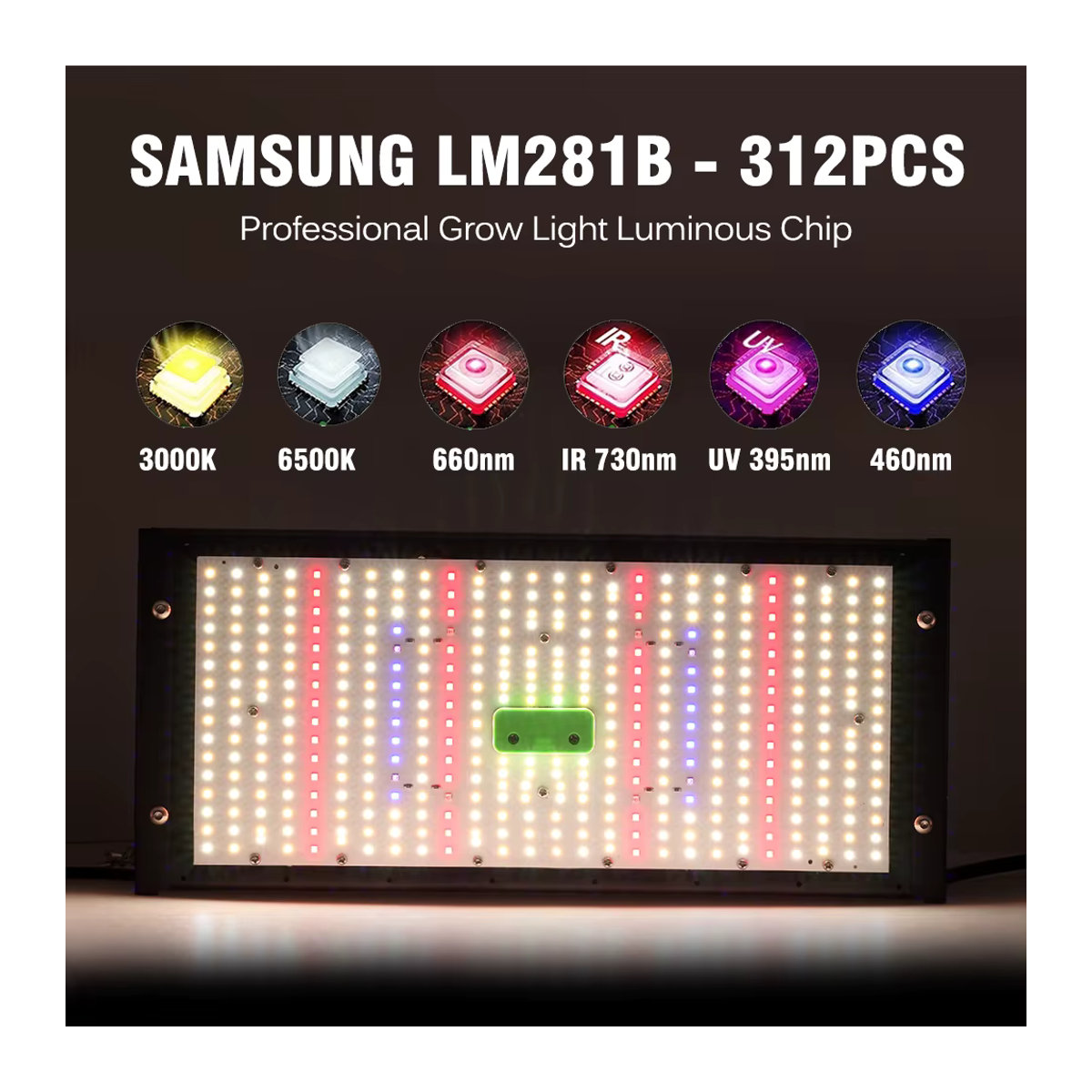 TRANYTON Intelligente LED-Pflanzenlampe mit Vollspektrum-Licht, 50 W bis 240 W, inklusive Dimmschalter und Haken für Blumen und Pflanzen - Bild 3