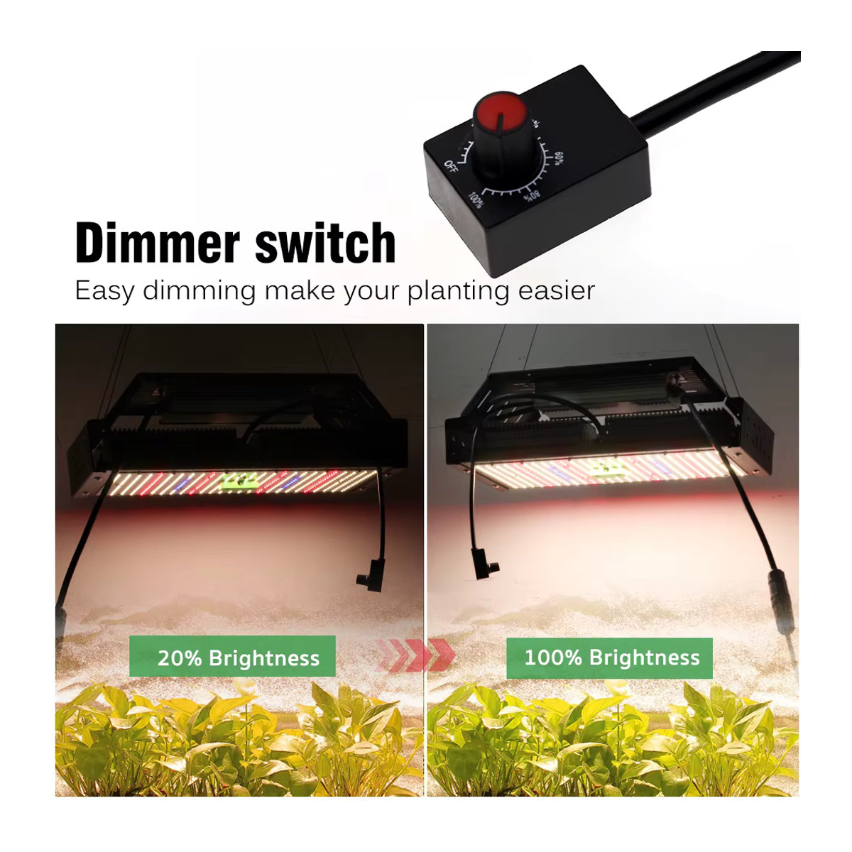 TRANYTON Intelligente LED-Pflanzenlampe mit Vollspektrum-Licht, 50 W bis 240 W, inklusive Dimmschalter und Haken für Blumen und Pflanzen - Bild 4