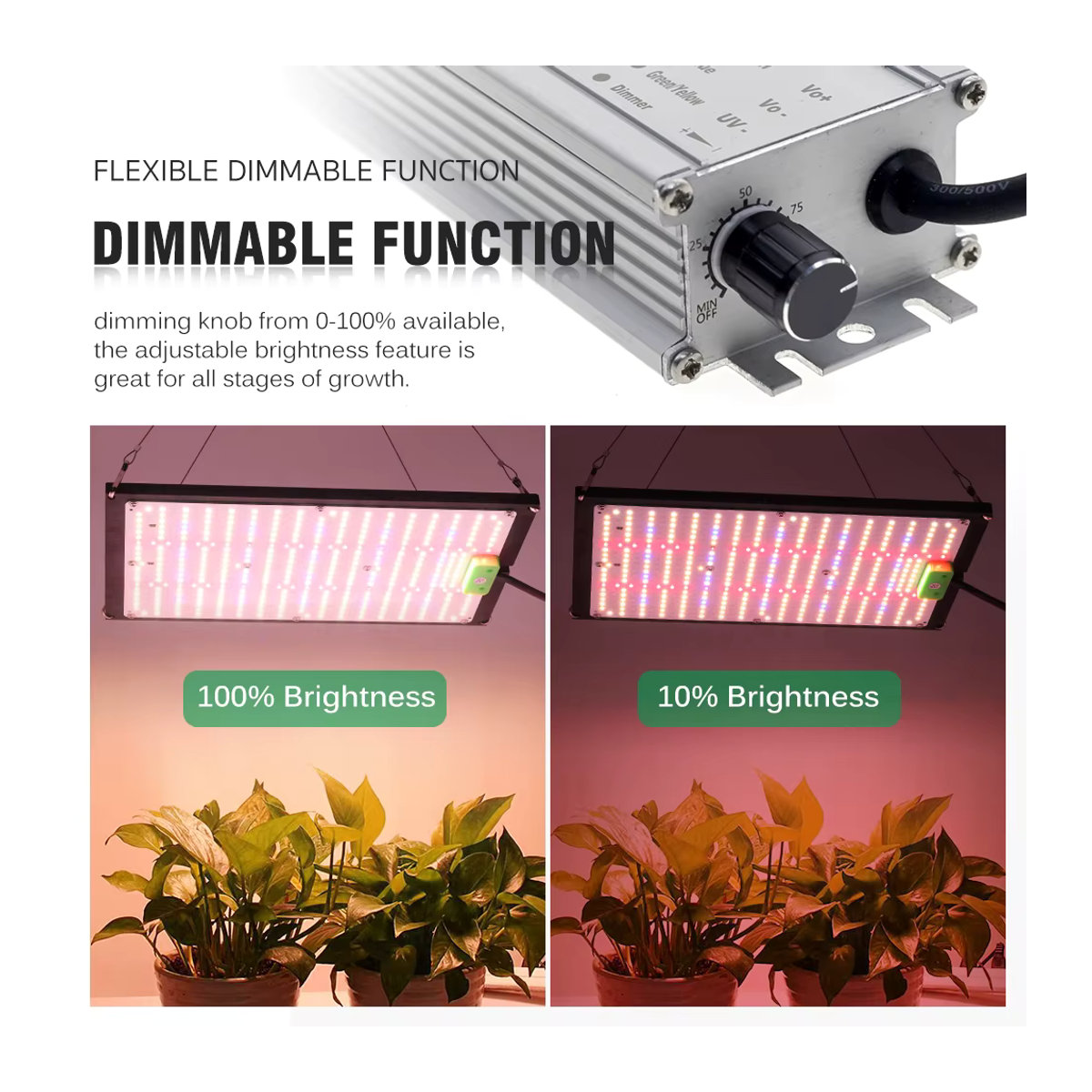 TRANYTON LED-Wachstumslicht mit LM301H Chips, dimmbares Vollspektrum-Pflanzenlicht für Wachstumszelte und Gewächshäuser - Bild 5