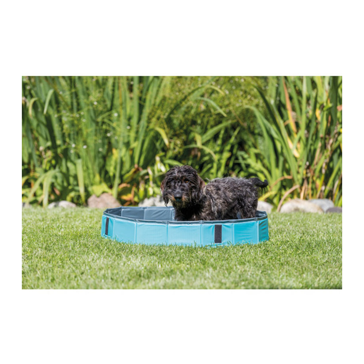 TRIXIE Hundepool aus Kunststoff in Blau, Durchmesser: 70 cm - Bild 2