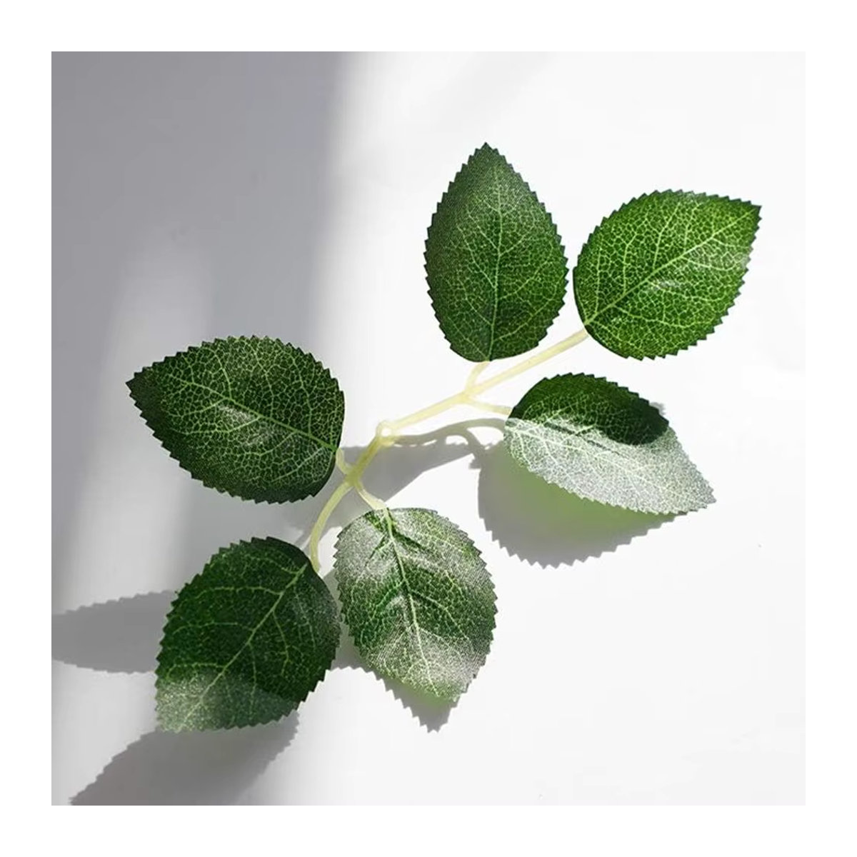 TTCY Künstliche Rosen und Blätter in Grün für Dekoration, Hochzeit und Garten, 50 Stück - Bild 3