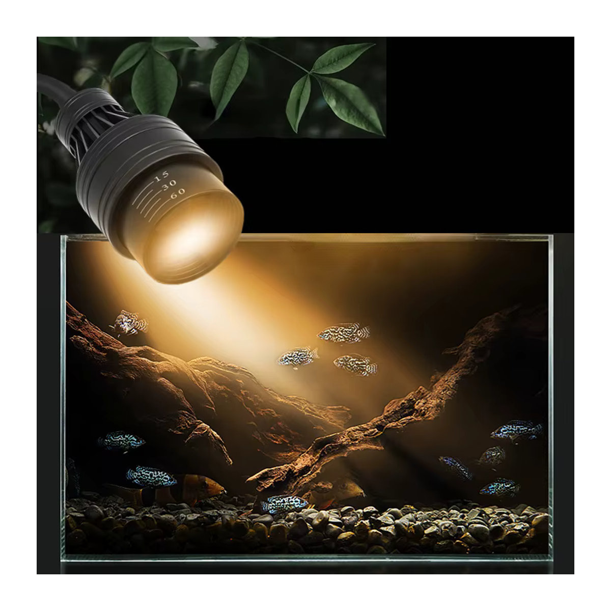 TUNFAN Aquarium LED Licht mit einstellbarem Fokus für Pflanzen und Reptilien Zubehör - Bild 3