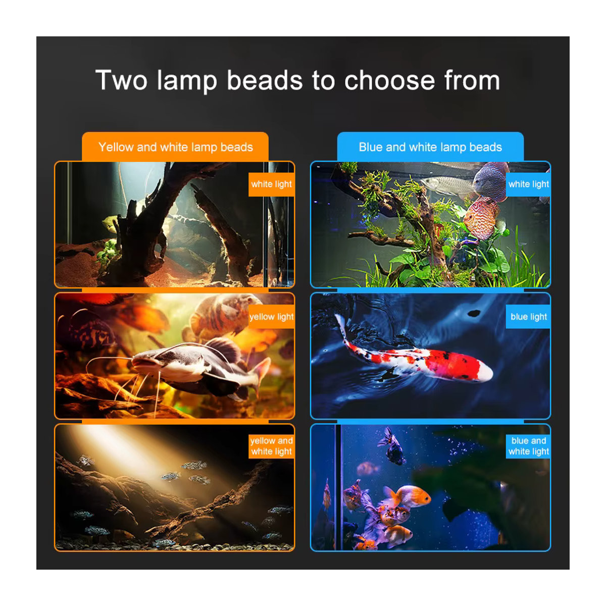TUNFAN Aquarium LED Licht mit einstellbarem Fokus für Pflanzen und Reptilien Zubehör - Bild 4