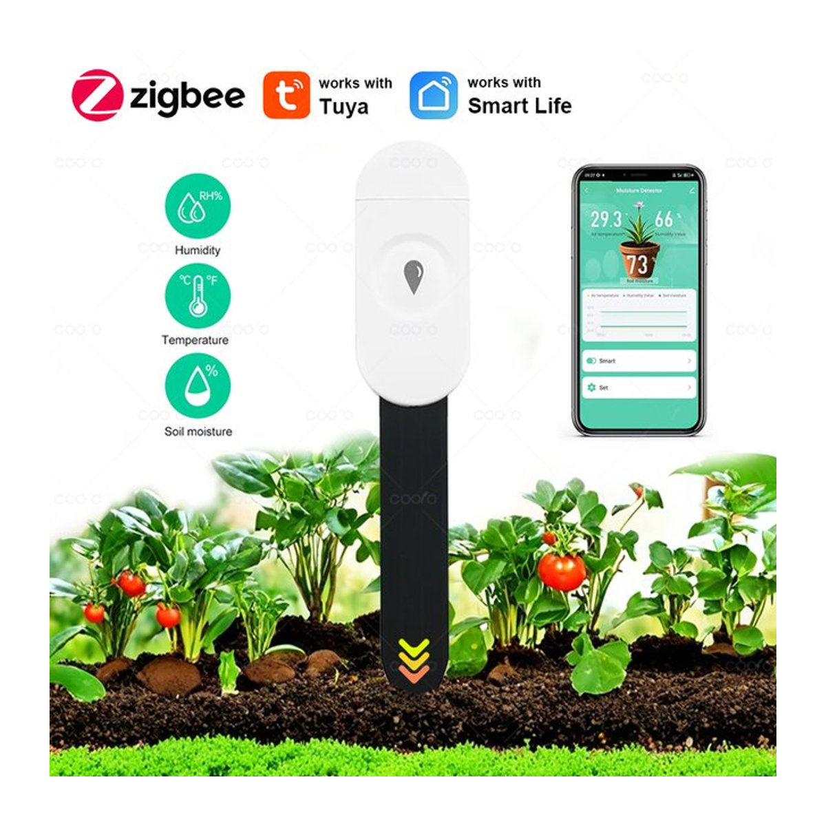 Tuya ZigBee Bodenfeuchtigkeitssensor für Garten und Pflanzen zur Messung der Bodenfeuchte als Hygrometer für die Gartenarbeit - Bild 1