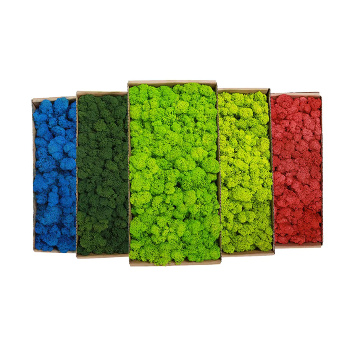 Uflower Künstliches Mini Landschaft Moos in Grün und Gelb, 500 g - Bild 2