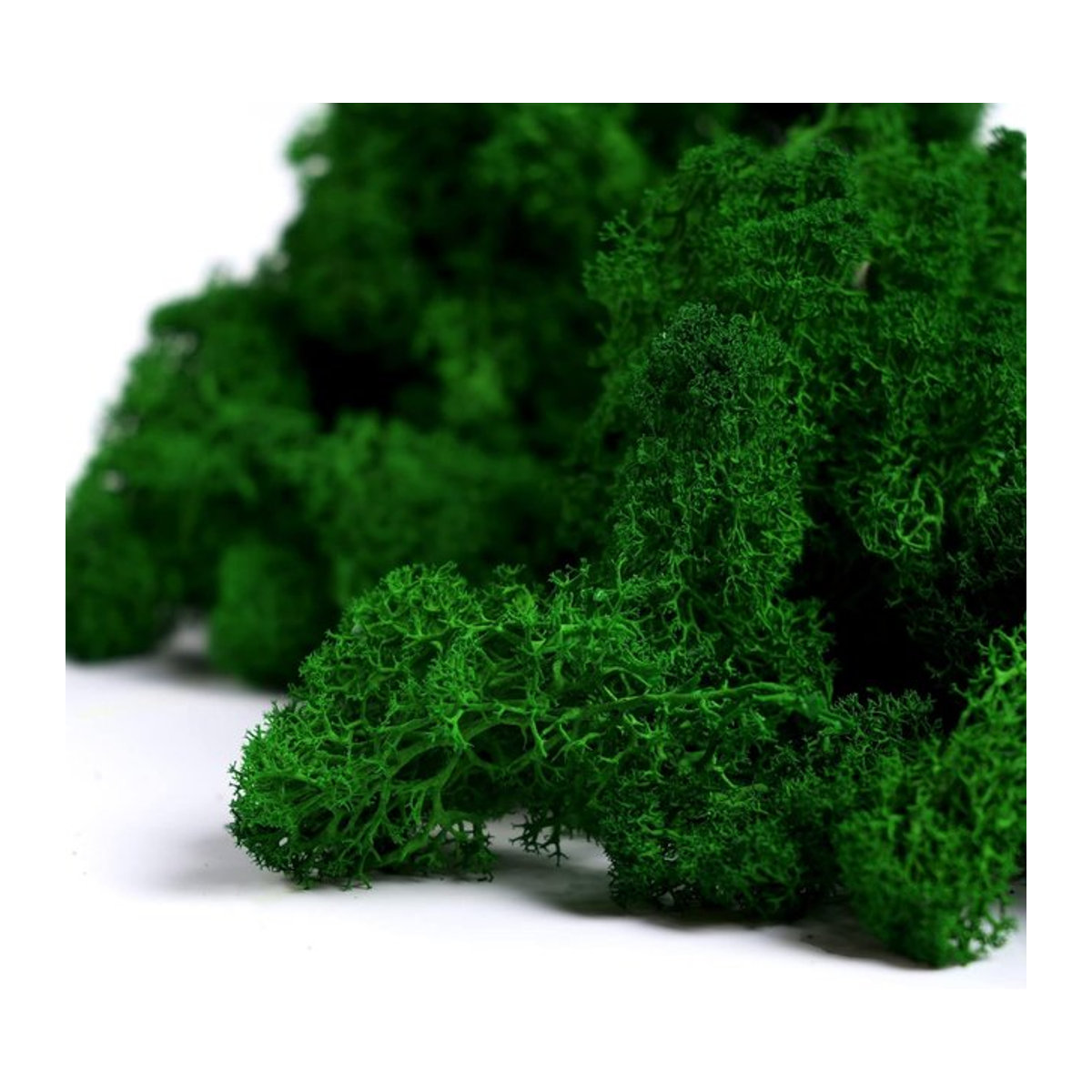 Uflower Künstliches Moos in Grün für DIY Handwerk und Mini Landschaftsdekoration - Bild 1