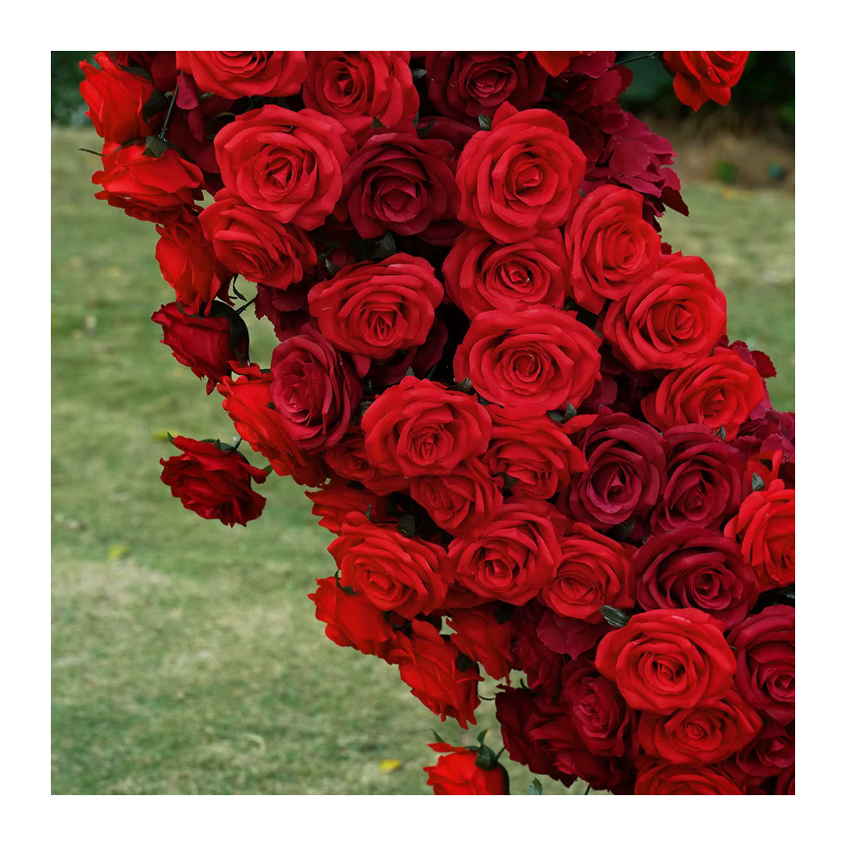Uflower Künstliches Rosen-Blumenarrangement in Rot mit Textilbasis für Hochzeiten und als Herzförmiger Bogen-Rahmen oder Bühnen-Blumenwand - Bild 4