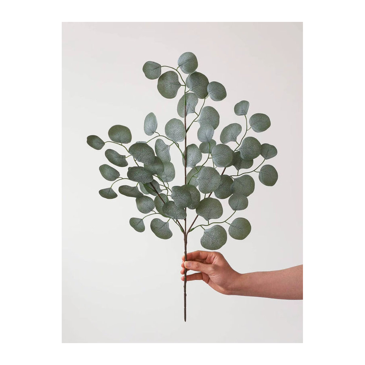 Uflower Nordic Künstlicher Eukalyptus Zweig in Grün für Dekoration und Blumenarrangements - Bild 6