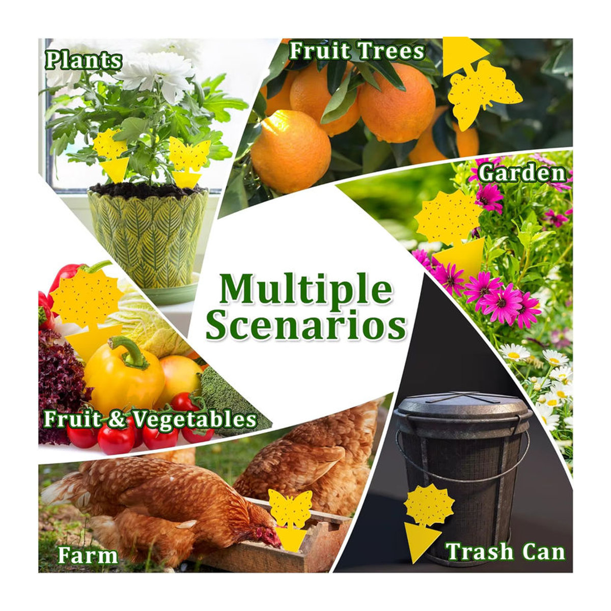Ungiftige und geruchlose doppelseitige Mückenfallen als Klebebrettfallen zum Schutz deiner Gartenpflanzen und Küchenpflanzen - Bild 3