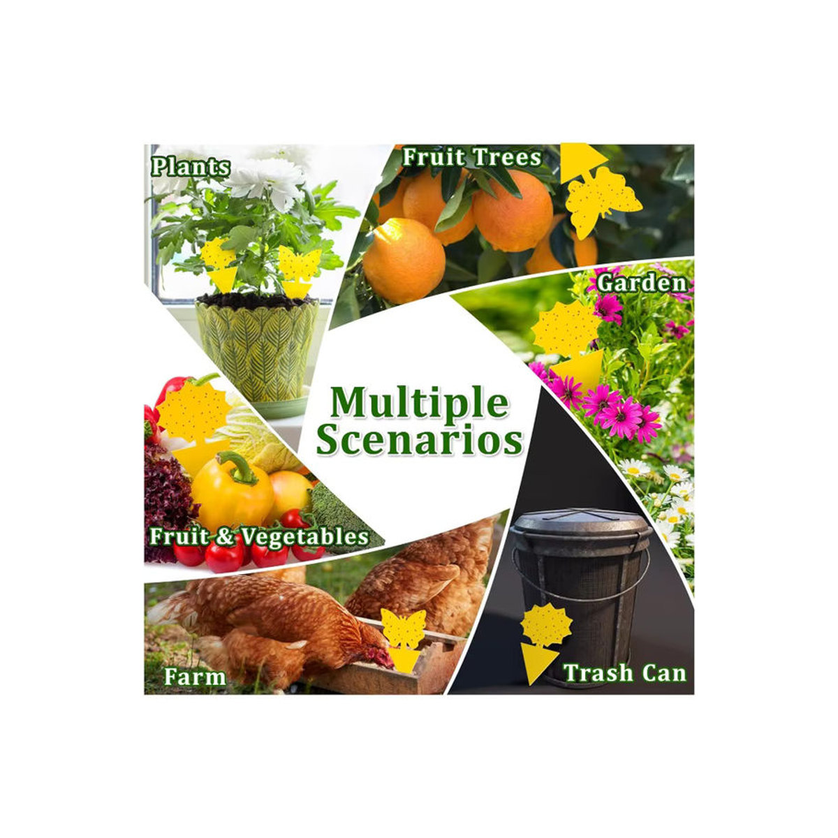 Ungiftige und geruchlose doppelseitige Mückenfallen als Klebebrettfallen zum Schutz deiner Gartenpflanzen und Küchenpflanzen - Bild 6