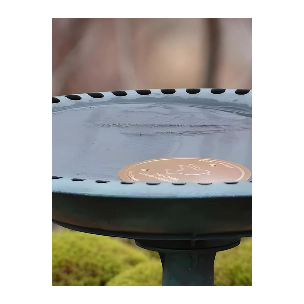 Universelle Kupfer-Reinigungsscheibe für Vogelbäder, Brunnen und Gartenpflege - Bild 3
