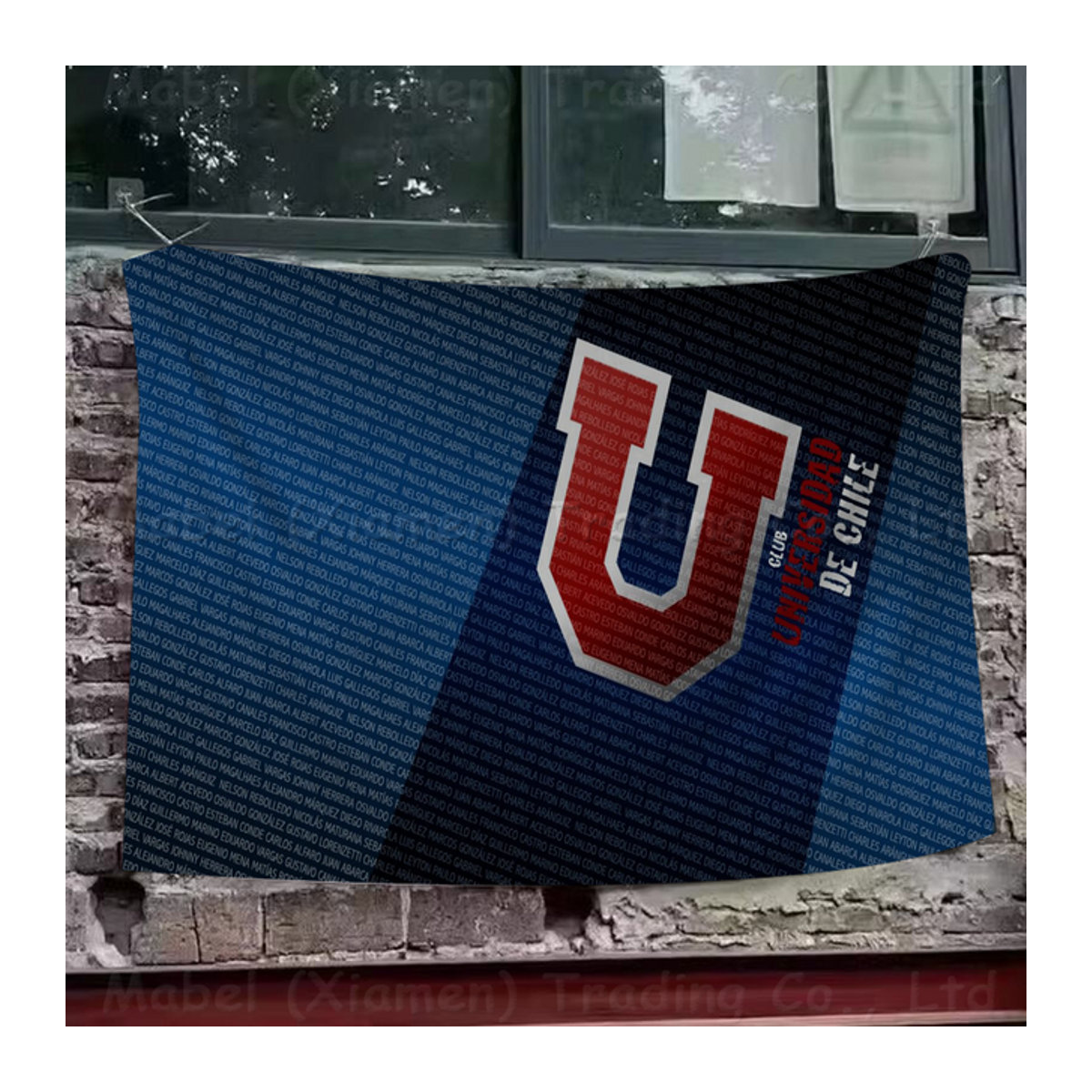 University Of-C-Chile Wandbehang mit Logo Cartoon Design in Blau, Textil Banner zur Dekoration - Bild 1