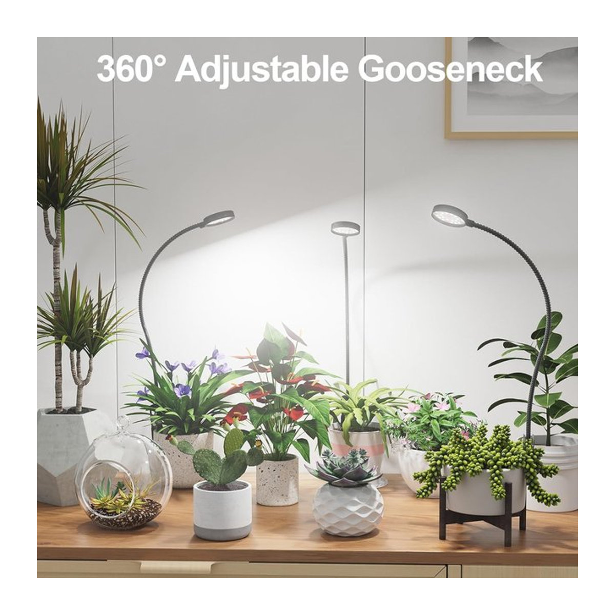 USB LED Pflanzenlampe mit Vollspektrum 6000K, dimmbare Schwanenhals-Klemmleuchte in Schwarz mit Auto-Ein/Aus-Funktion - Bild 1