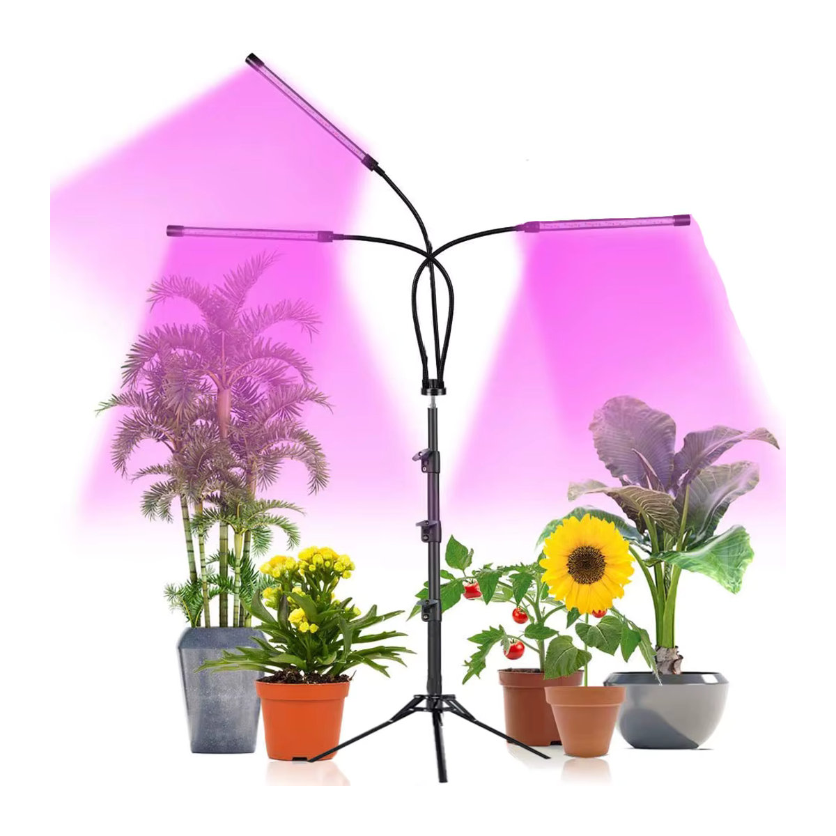 USB Pflanzenwachstumslampe mit Stehleuchte, Vollspektrum Hydroponik-Lampe mit Dimmer und Timer für Zimmerpflanzen und Blumen - Bild 4