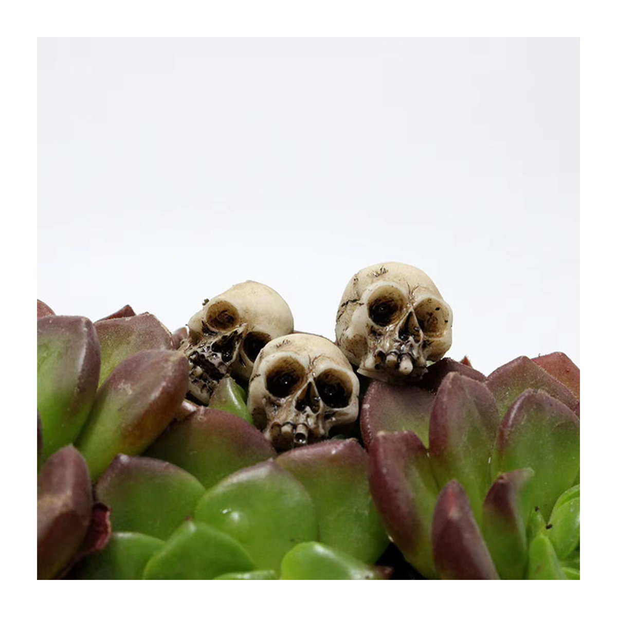 VAKIND Gothic Schädel Miniatur-Modelle aus Kunstharz in Weiß für Halloween und Garten-Dekoration - Bild 5