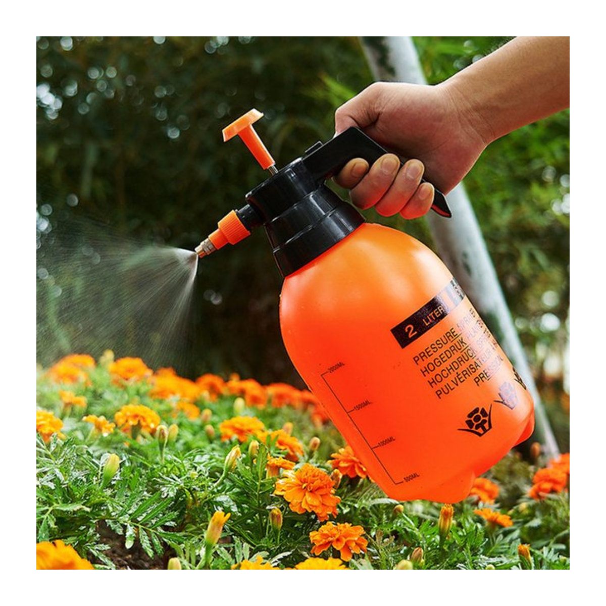 Verdickte Hochdruck-Gießkanne für den Garten als pneumatisches Gießspray zur Desinfektion - Bild 1