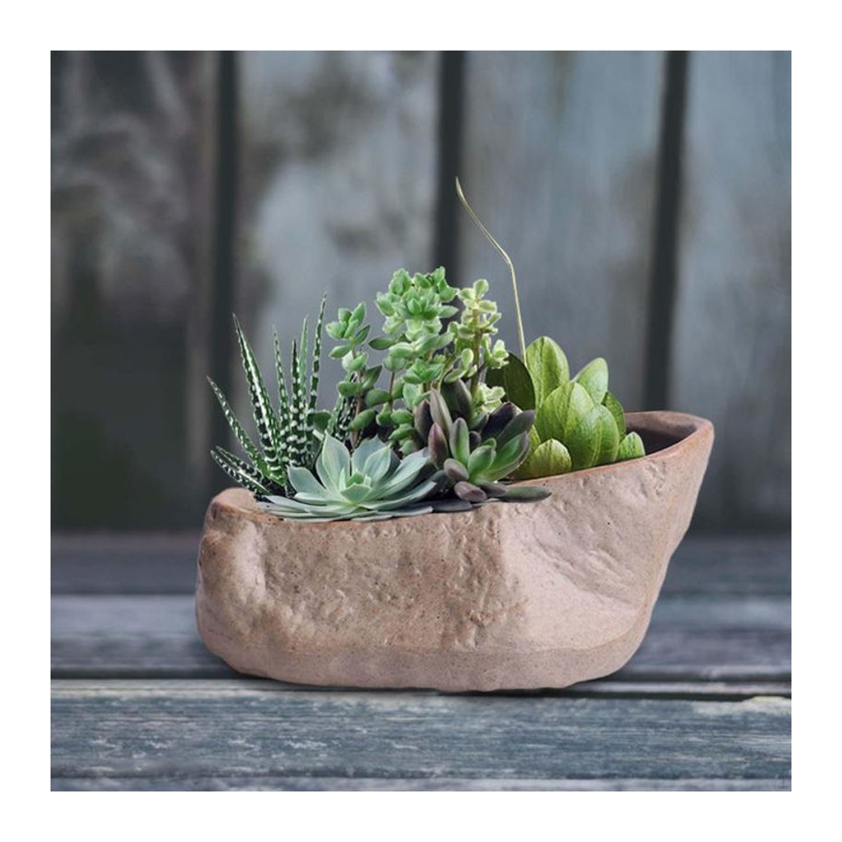 Verschleißfester Keramiktopf aus Porzellan für Bonsai und Pflanzen in Beige - Bild 1