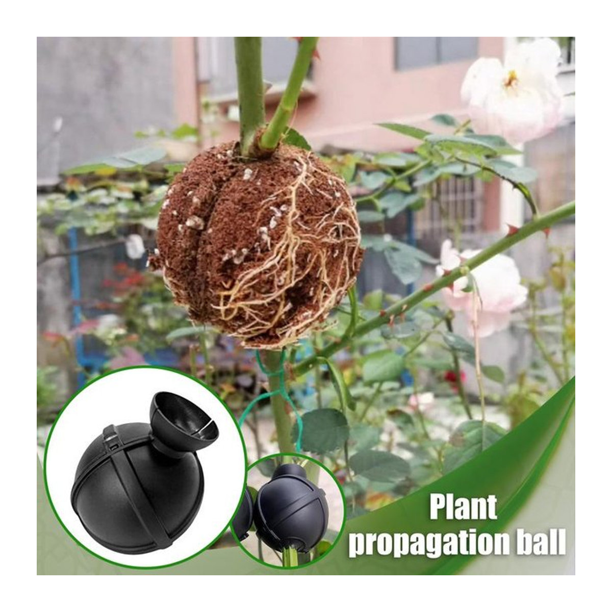 Verwurzelungsbox für Bäume und Obstbäume zur Pflege von Pfropfen und Wurzeln für Indoor-Gartenarbeit und Aquaponics - Bild 1