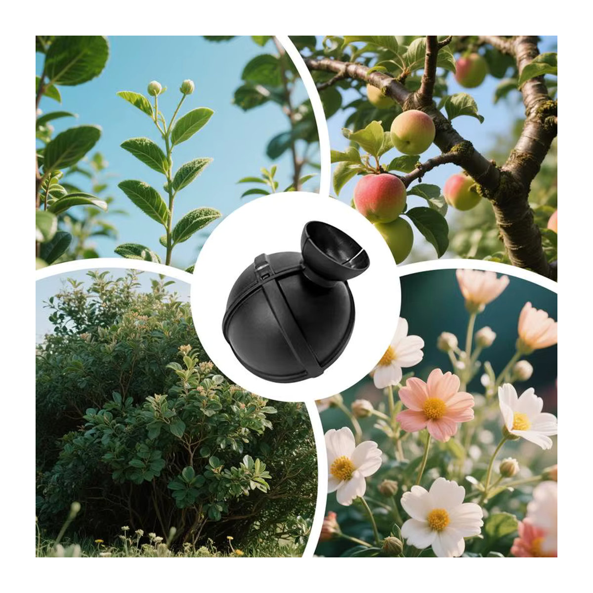 Verwurzelungsbox für Bäume und Obstbäume zur Pflege von Pfropfen und Wurzeln für Indoor-Gartenarbeit und Aquaponics - Bild 5