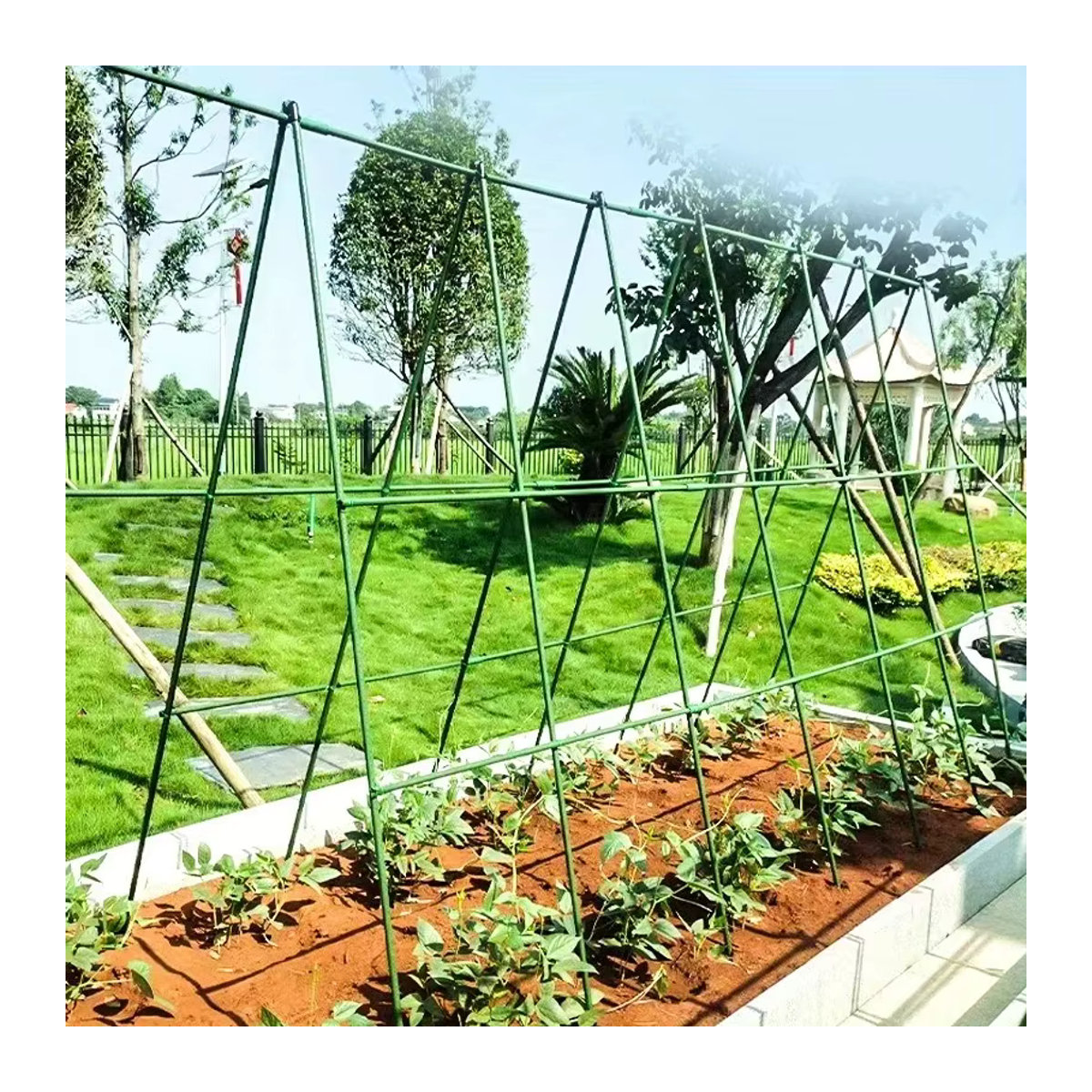 Vielseitiges Kletterspalier als Blumenspalier und Gemüsespalier für deinen Garten oder Innenhof - Bild 3