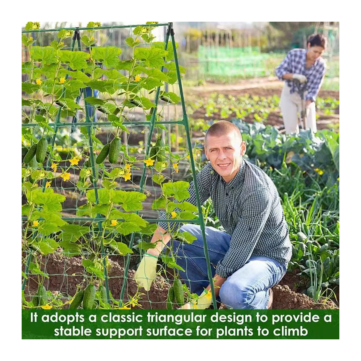 Vielseitiges Kletterspalier als Blumenspalier und Gemüsespalier für deinen Garten oder Innenhof - Bild 5