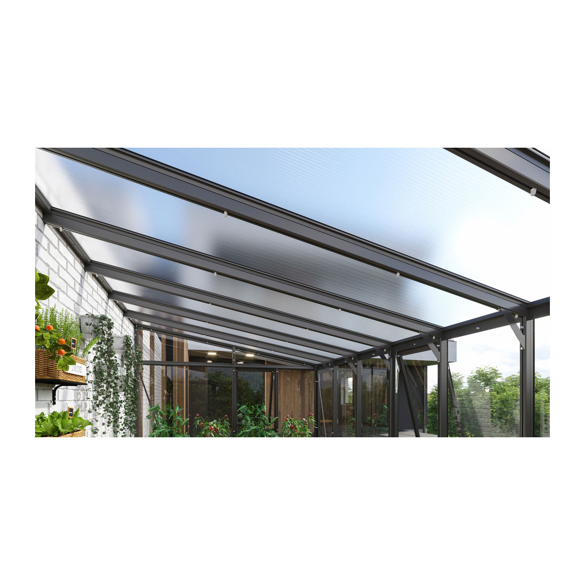 Vitavia Anlehn-Gewächshaus Helena 11900 in Schwarz mit 11,9 m² Fläche und ESG-Glas - Bild 3