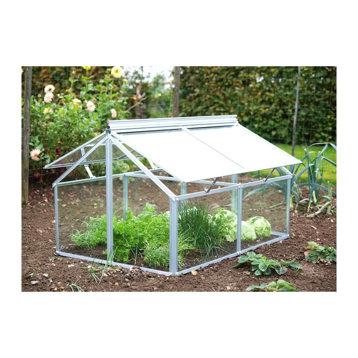 Vitavia Frühbeet Gaia Jumbo aus Aluminium und Glas in Silber, B/T/H: 119,3 x 83,1 x 71,9 cm - Bild 1