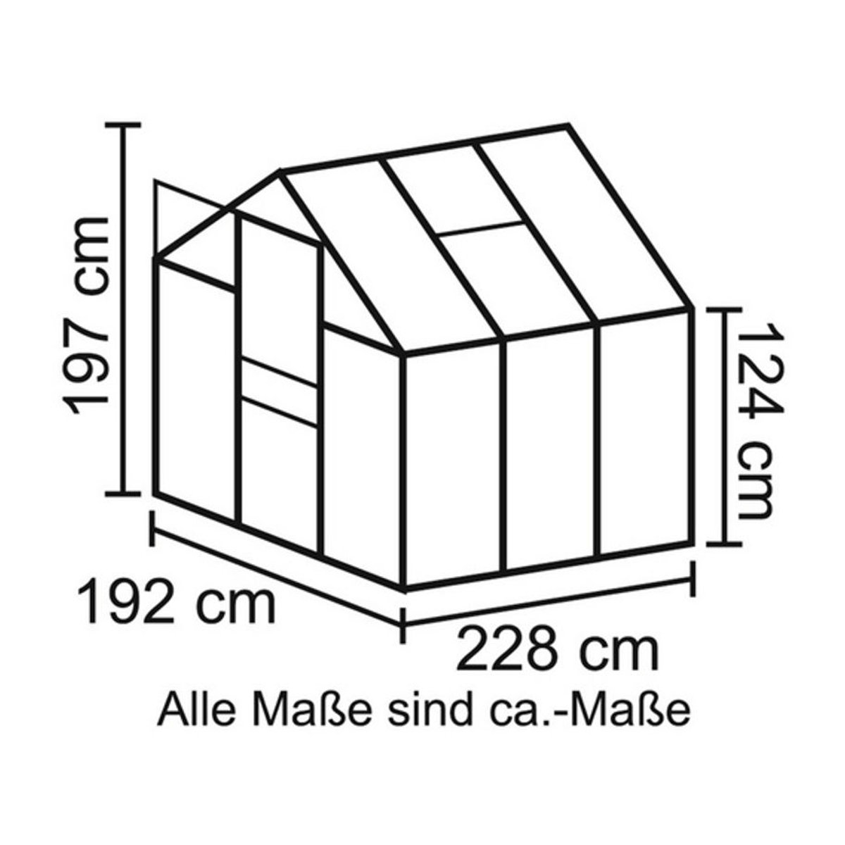 Vitavia Gewächshaus Calypso 4400 in Grün mit Aluminiumrahmen und Polycarbonat-Platten, 4,4 m² - Bild 5